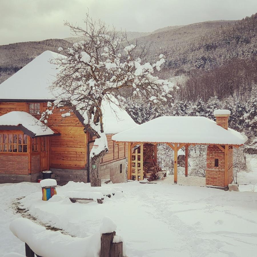 Kuca Karajic Villa Kremna Dış mekan fotoğraf