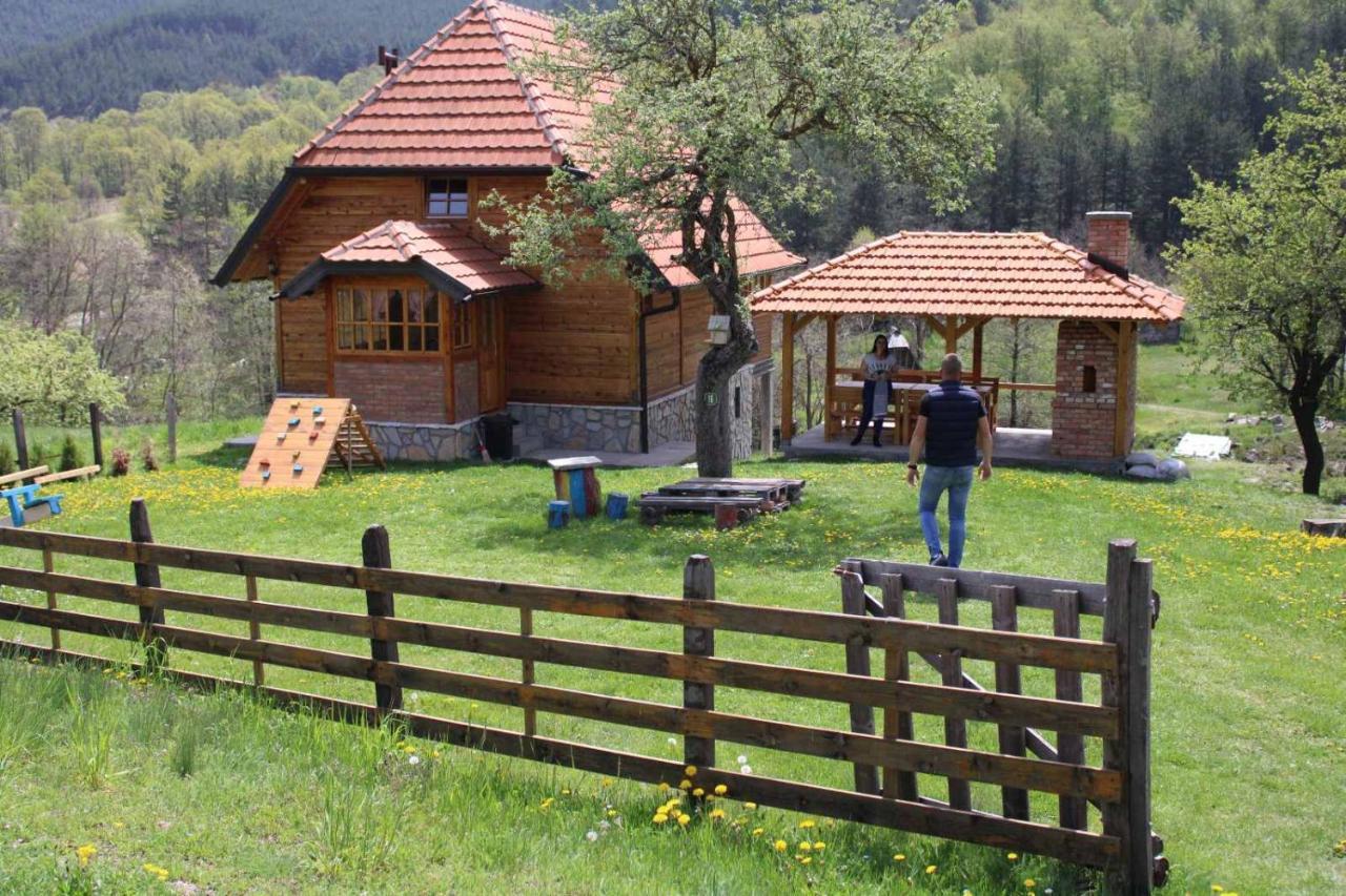 Kuca Karajic Villa Kremna Dış mekan fotoğraf