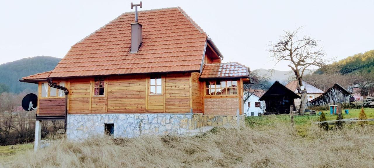 Kuca Karajic Villa Kremna Dış mekan fotoğraf