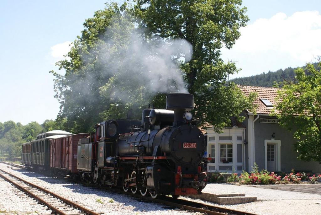 Kuca Karajic Villa Kremna Dış mekan fotoğraf