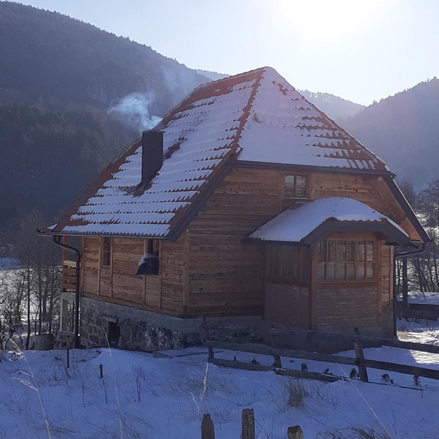 Kuca Karajic Villa Kremna Dış mekan fotoğraf